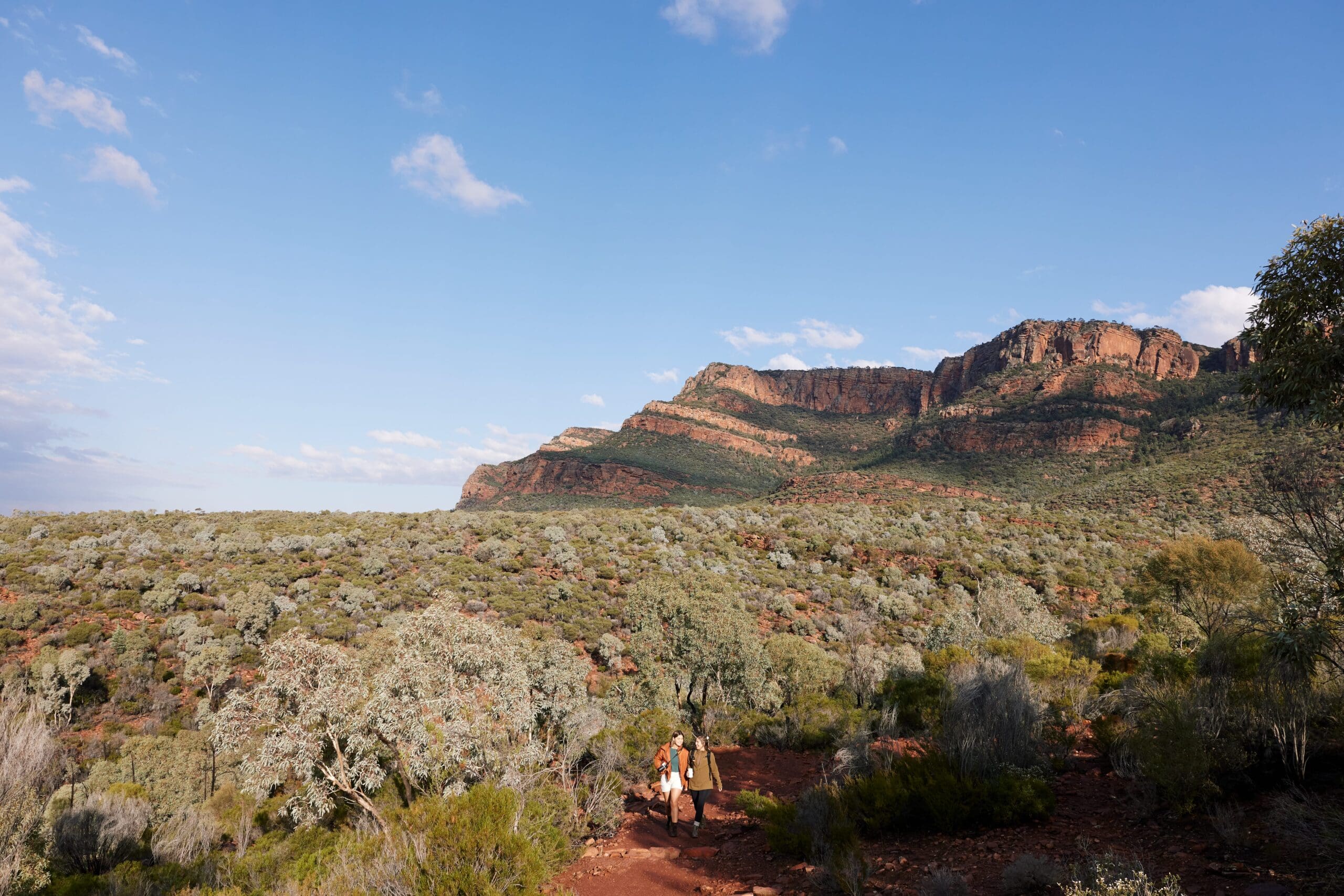 1072553-167 Rawnsley Park Station, Flinders Ranges. South Australian Tourism Commission.