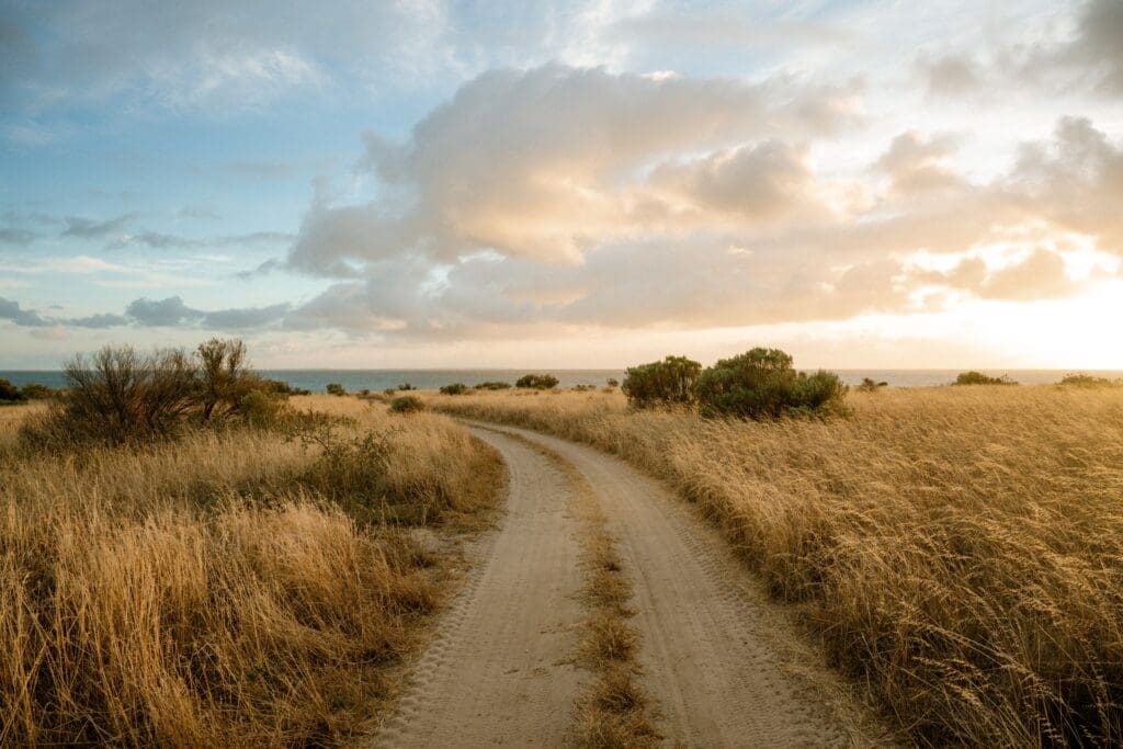 Eyre Peninsula. Rumi on Louth. South Australian Tourism Commission.